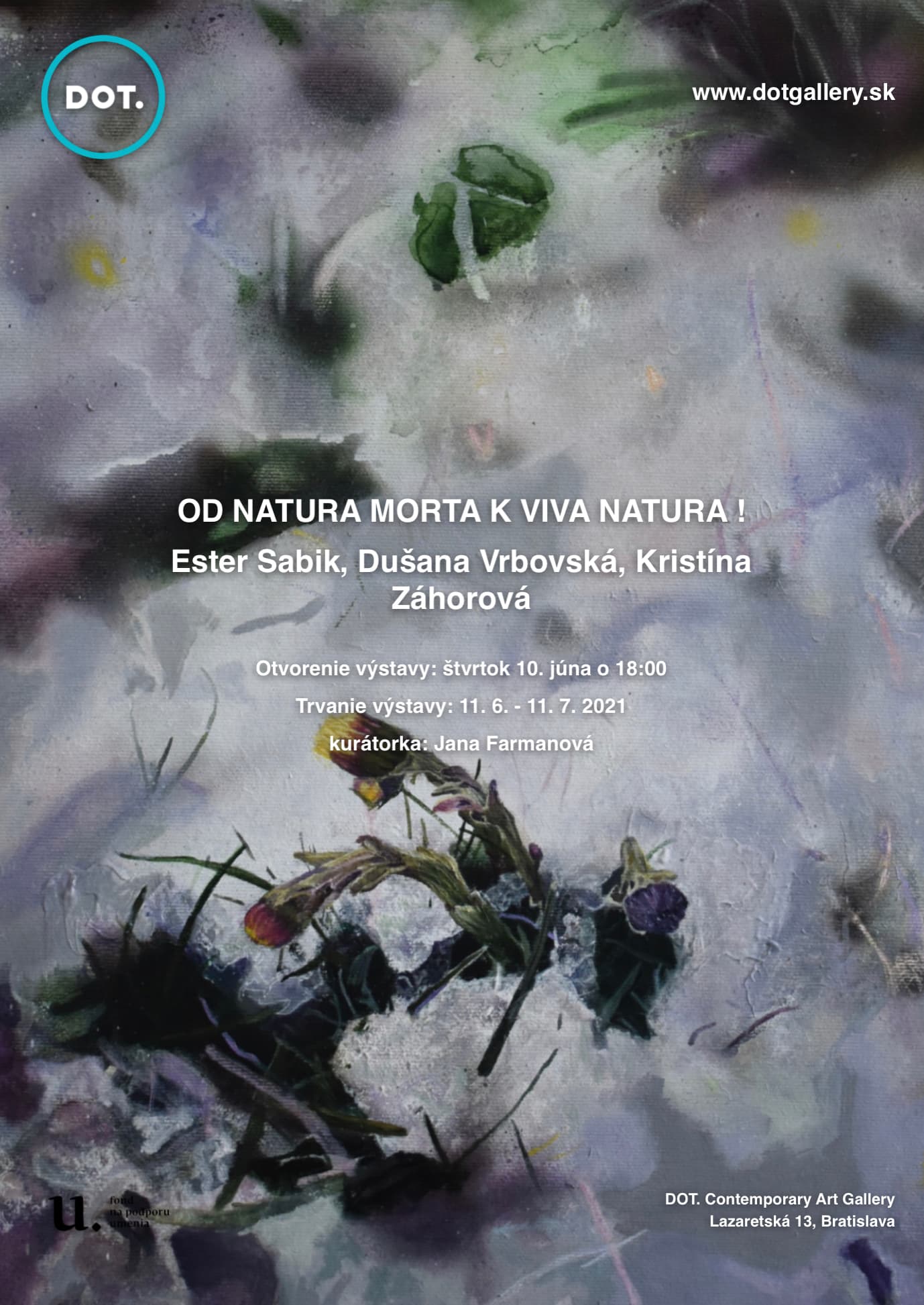 OD NATURA MORTA K VIVA NATURA !