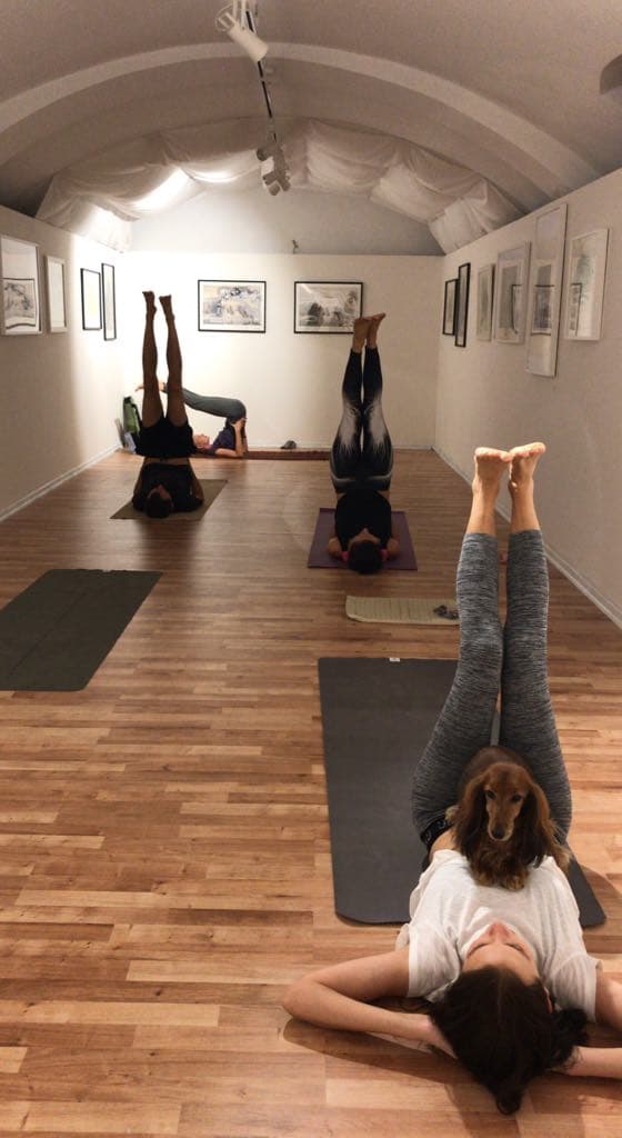 Sweet Yoga and qi gong v DOT Gallery s Evkou - 25.10.2018