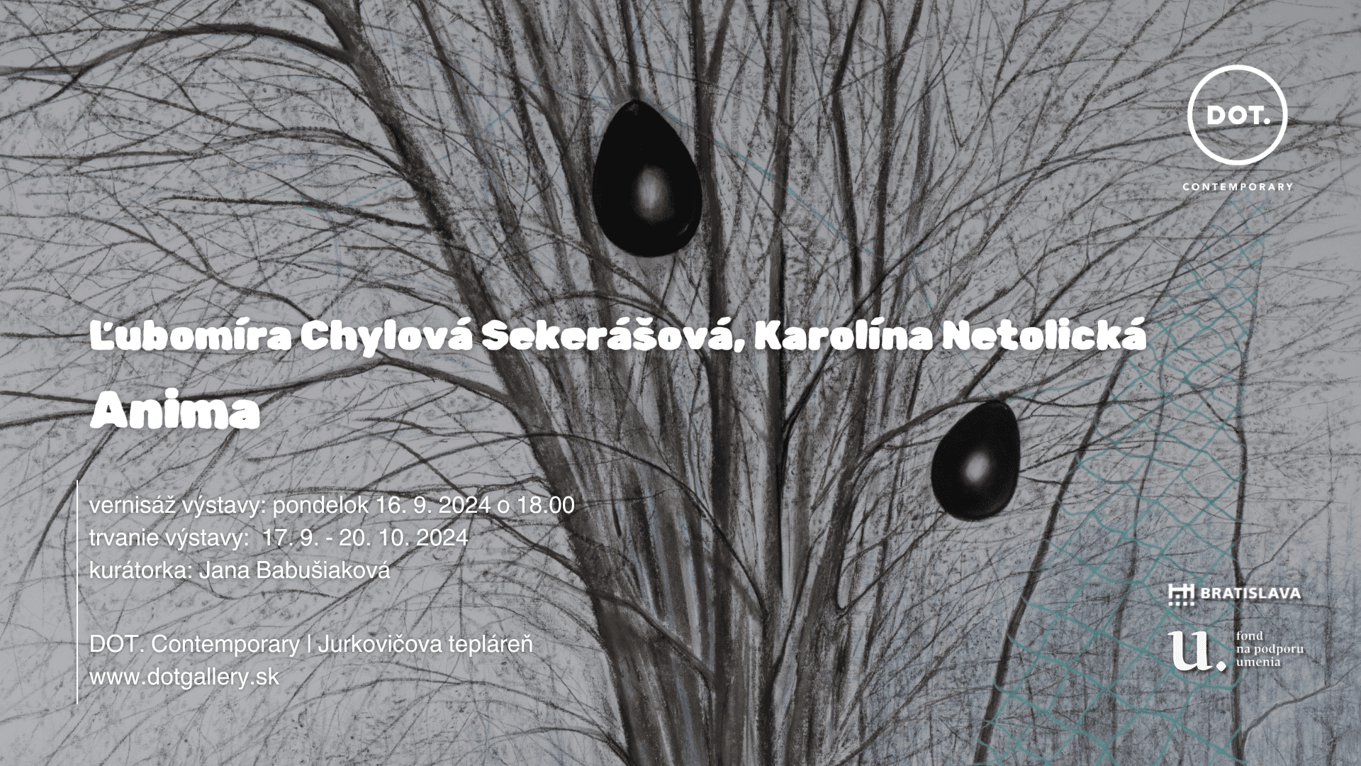 Ľubomíra Chylová Sekerášová, Karolína Netolická / Anima