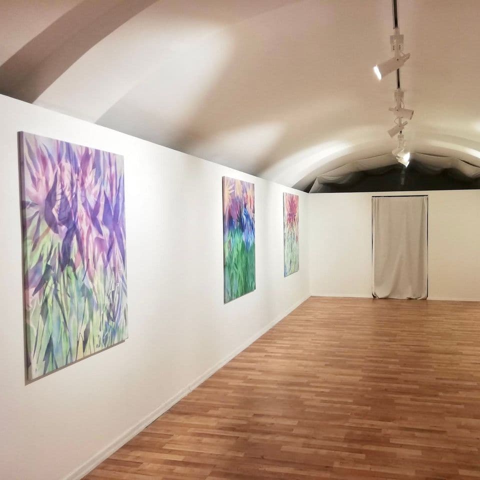 Lucia Oleňová / ODTIENE ZELENEJ (pop-up výstava)